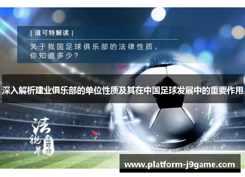 深入解析建业俱乐部的单位性质及其在中国足球发展中的重要作用