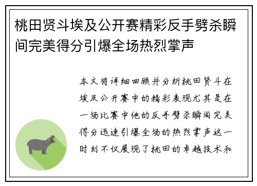 桃田贤斗埃及公开赛精彩反手劈杀瞬间完美得分引爆全场热烈掌声